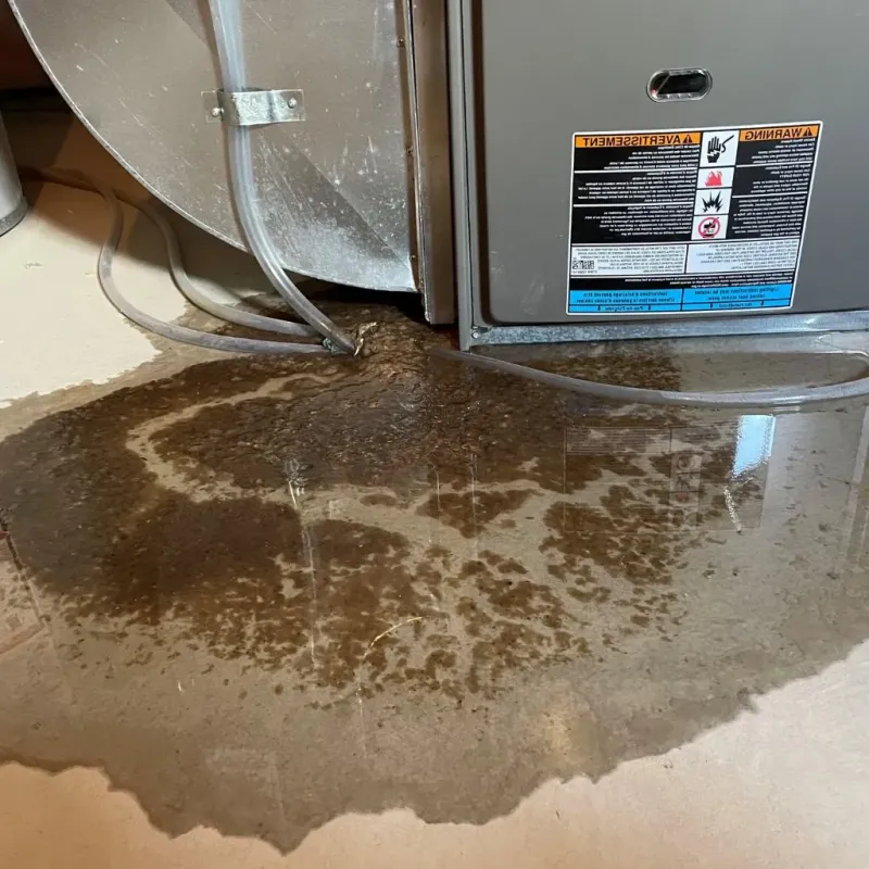 Pipe Burst and Leak Restoration in Cleveland County, NC